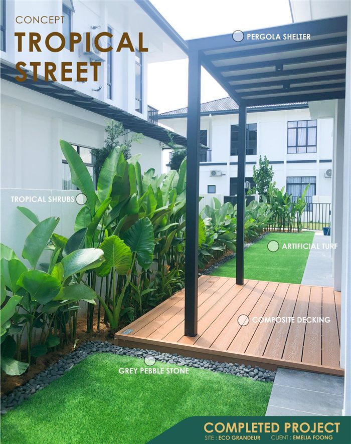 Tropical Street